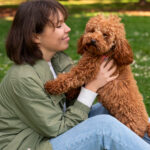 Cockapoo: The Complete Guide To This Cute and Smart Friend