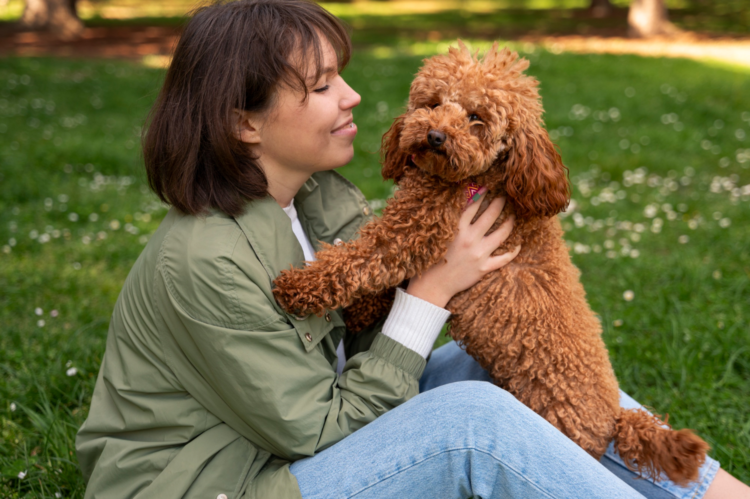 Cockapoo: The Complete Guide To This Cute and Smart Friend