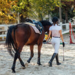 How To Choose The Right Sand For Your Equestrian Surface
