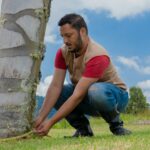 Practical Tree Care
