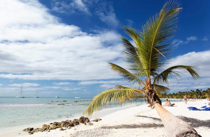 Jamaica Tours