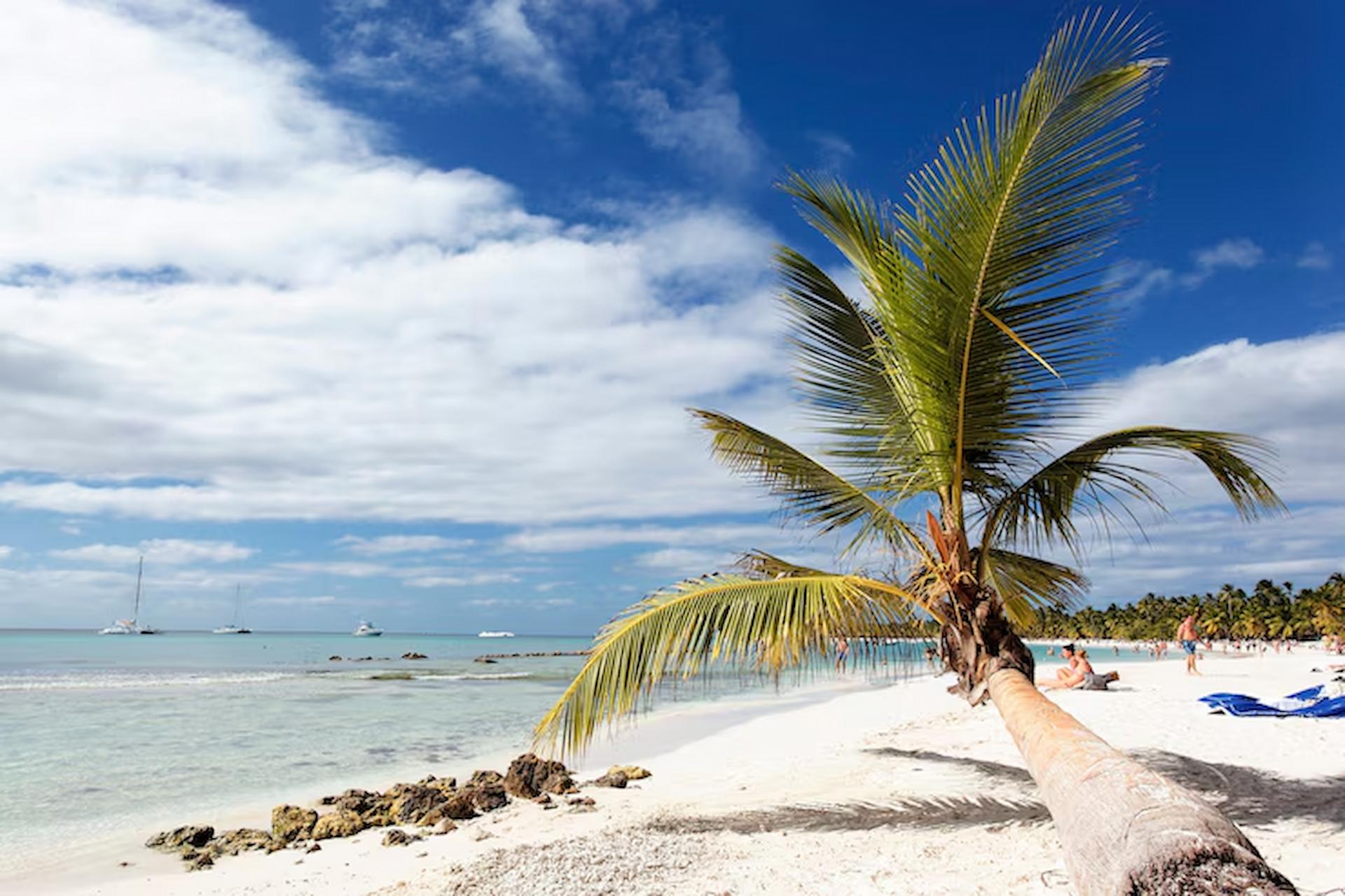Jamaica Tours